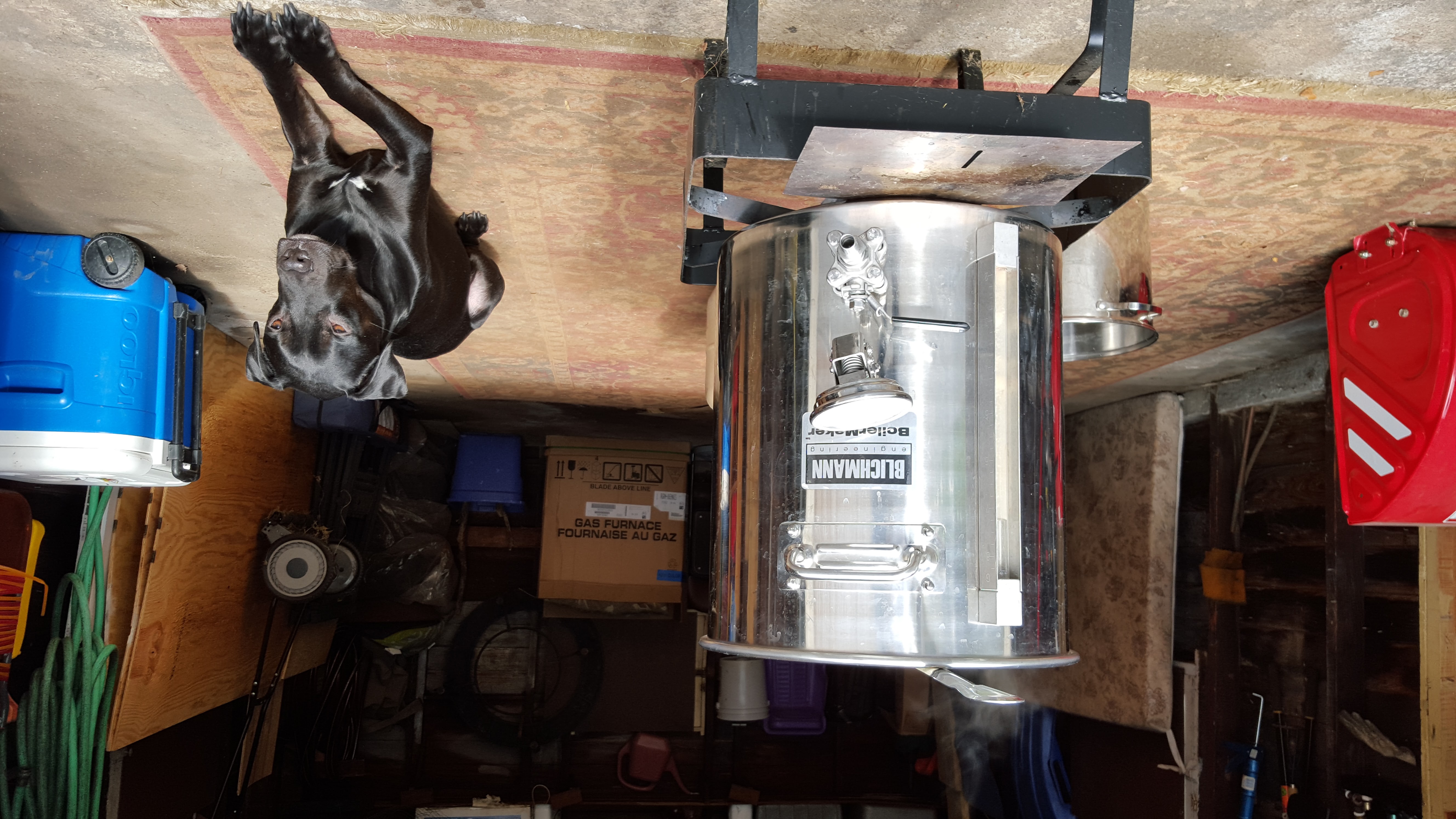 Brewing setup