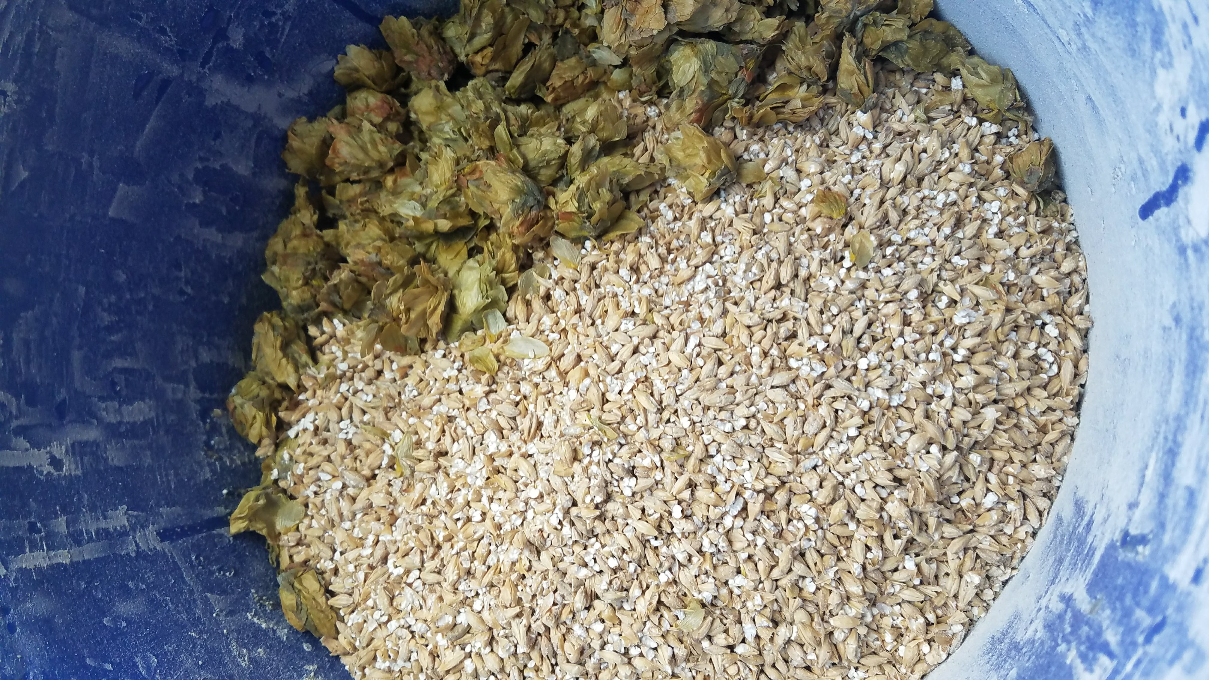 Grain and hops