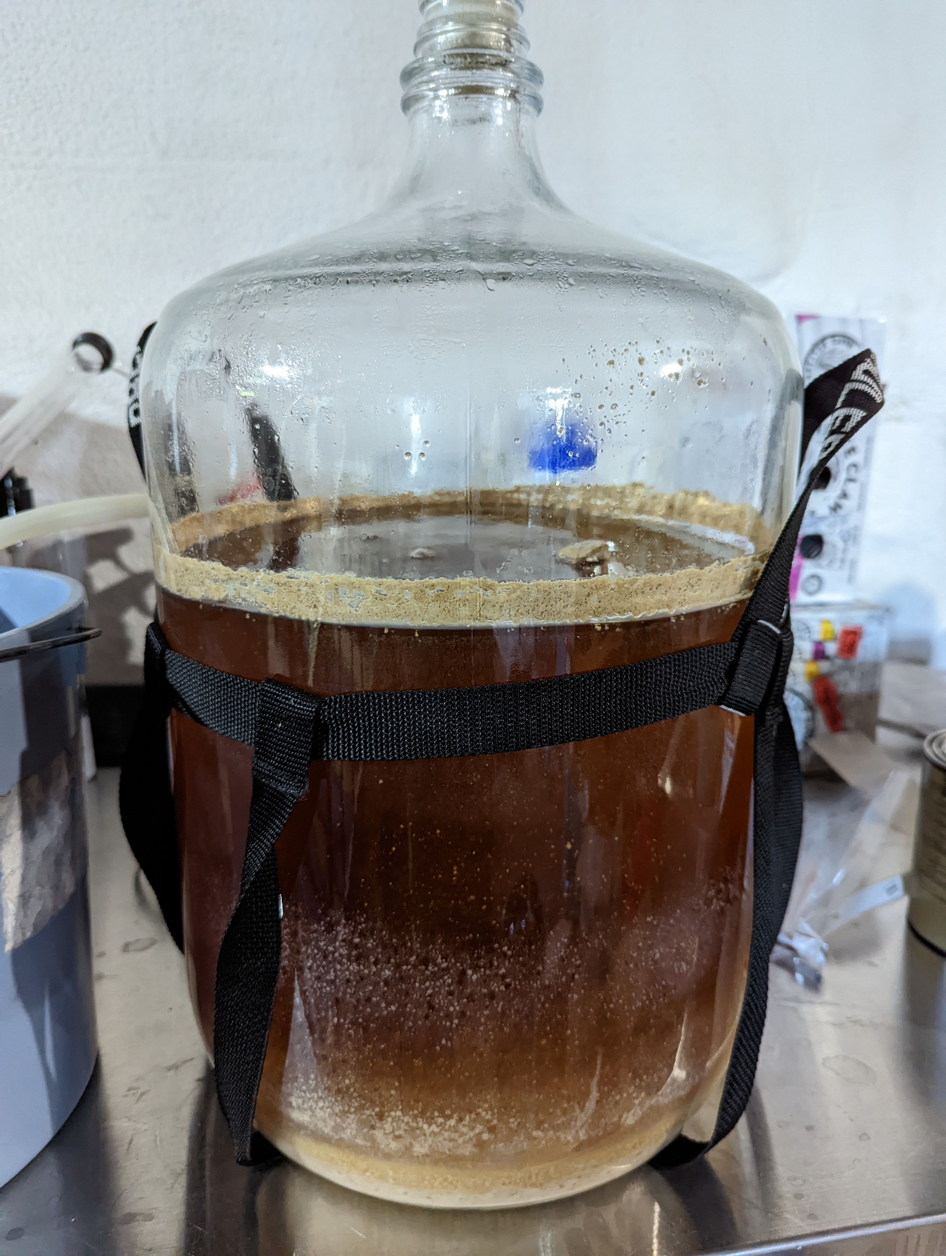 Wort fermenting in a glass carboy