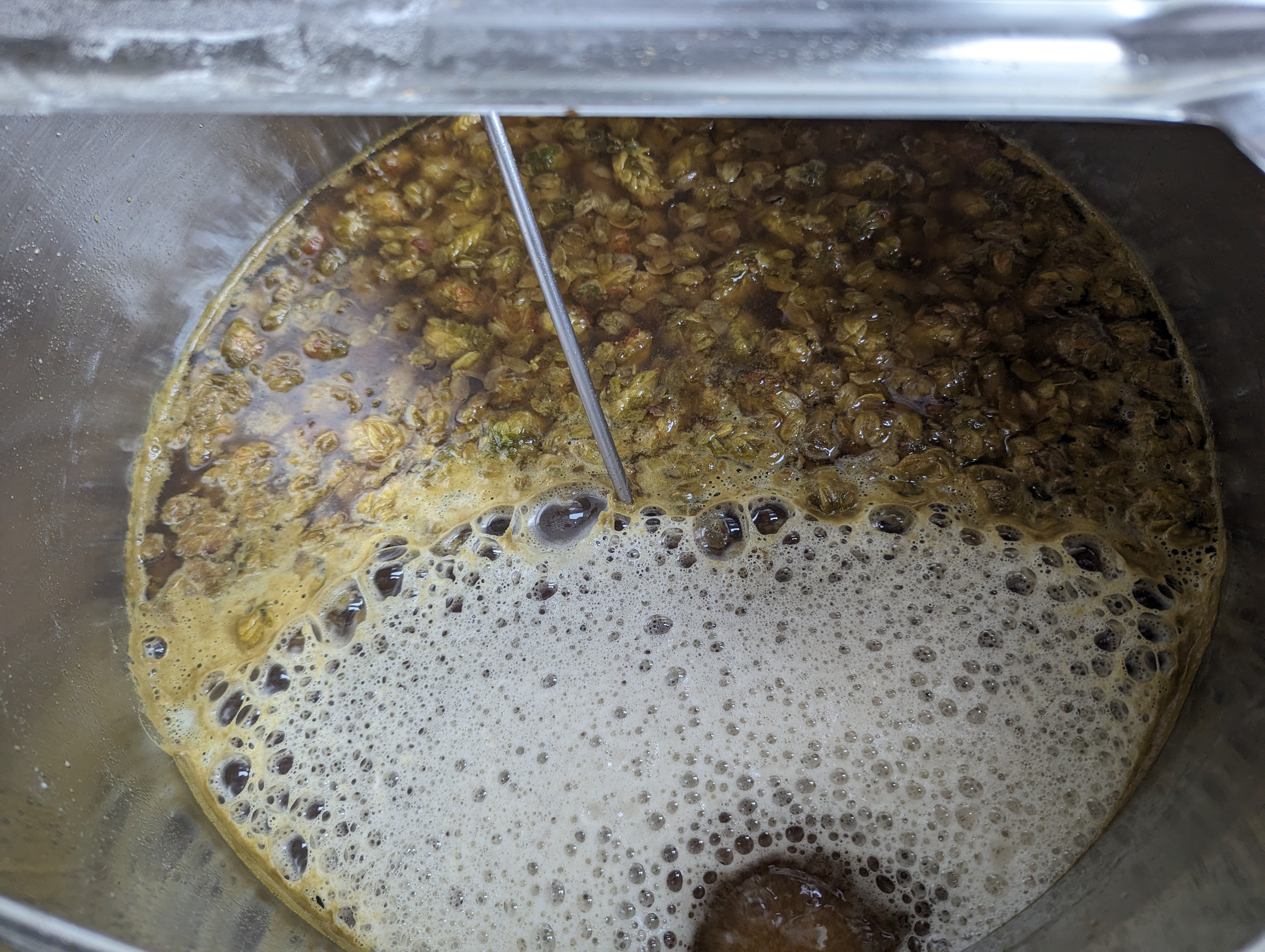 Wort boiling with hops